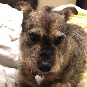 Meet your Posher, Larry